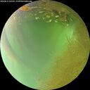./images/calvert/underwater/20260813/underwater20260813_152501M.jpg