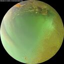 ./images/calvert/underwater/20260813/underwater20260813_153001M.jpg