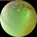 ./images/calvert/underwater/20260813/underwater20260813_154001M.jpg