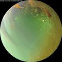 ./images/calvert/underwater/20260813/underwater20260813_154502M.jpg