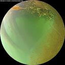./images/calvert/underwater/20260813/underwater20260813_155001M.jpg