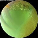 ./images/calvert/underwater/20260813/underwater20260813_161001M.jpg