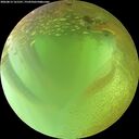 ./images/calvert/underwater/20260813/underwater20260813_161501M.jpg