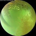 ./images/calvert/underwater/20260813/underwater20260813_162001M.jpg