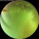 ./images/calvert/underwater/20260813/underwater20260813_162502M.jpg