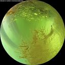 ./images/calvert/underwater/20260813/underwater20260813_163002M.jpg