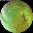 ./images/calvert/underwater/20260813/underwater20260813_164001M.jpg