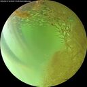 ./images/calvert/underwater/20260813/underwater20260813_164501M.jpg