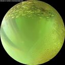 ./images/calvert/underwater/20260813/underwater20260813_165001M.jpg