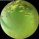 ./images/calvert/underwater/20260813/underwater20260813_165502M.jpg