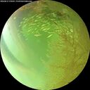 ./images/calvert/underwater/20260813/underwater20260813_170501M.jpg