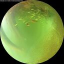 ./images/calvert/underwater/20260813/underwater20260813_171002M.jpg