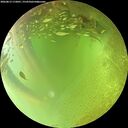 ./images/calvert/underwater/20260813/underwater20260813_172001M.jpg
