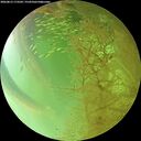 ./images/calvert/underwater/20260813/underwater20260813_173501M.jpg