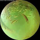 ./images/calvert/underwater/20260813/underwater20260813_174001M.jpg