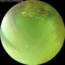 ./images/calvert/underwater/20260813/underwater20260813_175001M.jpg