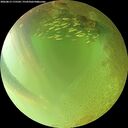 ./images/calvert/underwater/20260813/underwater20260813_175501M.jpg