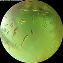 ./images/calvert/underwater/20260813/underwater20260813_180001M.jpg