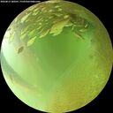 ./images/calvert/underwater/20260813/underwater20260813_180501M.jpg