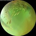 ./images/calvert/underwater/20260813/underwater20260813_181501M.jpg