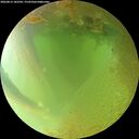 ./images/calvert/underwater/20260813/underwater20260813_182502M.jpg