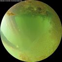 ./images/calvert/underwater/20260813/underwater20260813_183501M.jpg