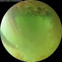 ./images/calvert/underwater/20260813/underwater20260813_184001M.jpg