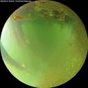 ./images/calvert/underwater/20260813/underwater20260813_184501M.jpg
