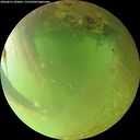./images/calvert/underwater/20260813/underwater20260813_185001M.jpg