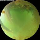 ./images/calvert/underwater/20260813/underwater20260813_185501M.jpg