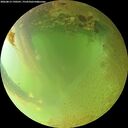 ./images/calvert/underwater/20260813/underwater20260813_190501M.jpg