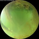 ./images/calvert/underwater/20260813/underwater20260813_191501M.jpg