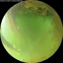 ./images/calvert/underwater/20260813/underwater20260813_192001M.jpg