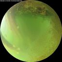 ./images/calvert/underwater/20260813/underwater20260813_192501M.jpg