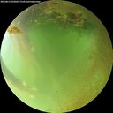 ./images/calvert/underwater/20260813/underwater20260813_193001M.jpg