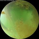 ./images/calvert/underwater/20260813/underwater20260813_193501M.jpg