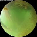 ./images/calvert/underwater/20260813/underwater20260813_194002M.jpg