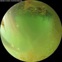 ./images/calvert/underwater/20260813/underwater20260813_195001M.jpg