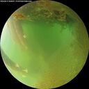 ./images/calvert/underwater/20260813/underwater20260813_200001M.jpg