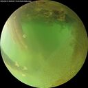 ./images/calvert/underwater/20260813/underwater20260813_200501M.jpg