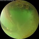 ./images/calvert/underwater/20260813/underwater20260813_201001M.jpg