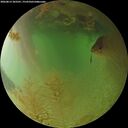 ./images/calvert/underwater/20260813/underwater20260813_203501M.jpg