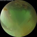 ./images/calvert/underwater/20260813/underwater20260813_204001M.jpg