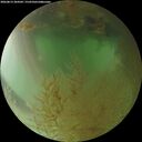 ./images/calvert/underwater/20260813/underwater20260813_204501M.jpg