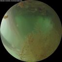 ./images/calvert/underwater/20260813/underwater20260813_205001M.jpg