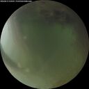 ./images/calvert/underwater/20260813/underwater20260813_210501M.jpg
