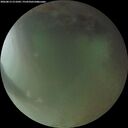 ./images/calvert/underwater/20260813/underwater20260813_211001M.jpg