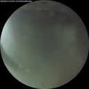 ./images/calvert/underwater/20260813/underwater20260813_211501M.jpg