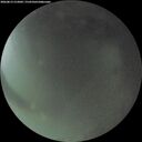 ./images/calvert/underwater/20260813/underwater20260813_212002M.jpg