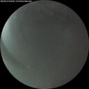 ./images/calvert/underwater/20260814/underwater20260814_055001M.jpg